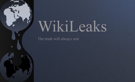 wikileaks-2013