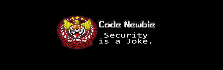 code-newbie-team-from-indonesia-and-malaysia-hacks-44-chinese-government-domains