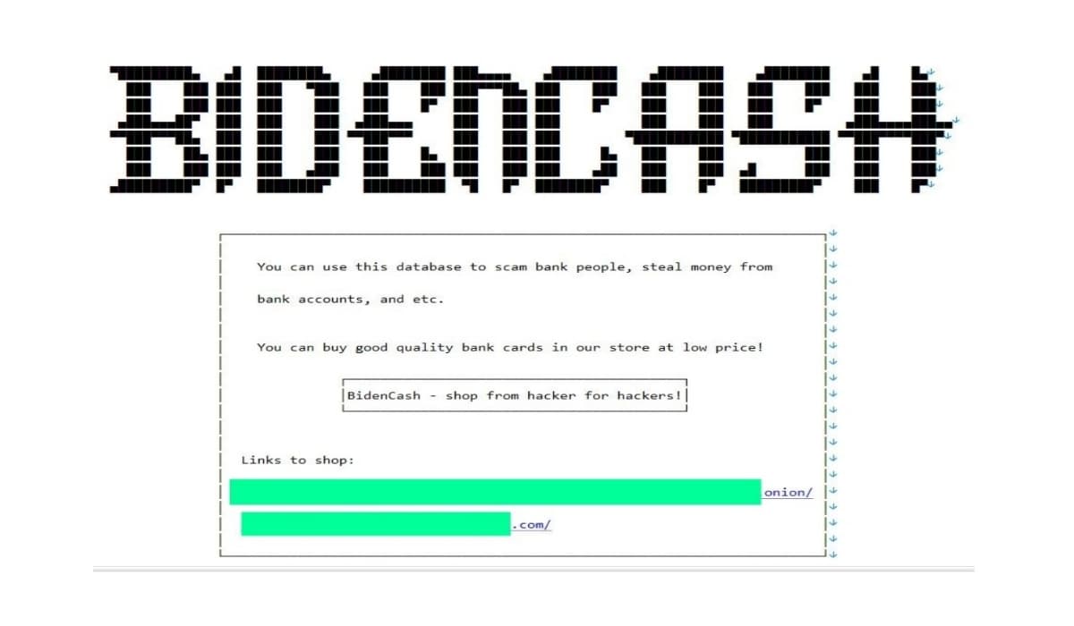 Bidencash Market Leaks Million Credit Card Details