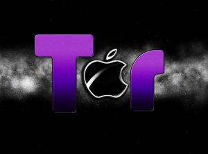 Tor 12.5.5 instal the new version for apple