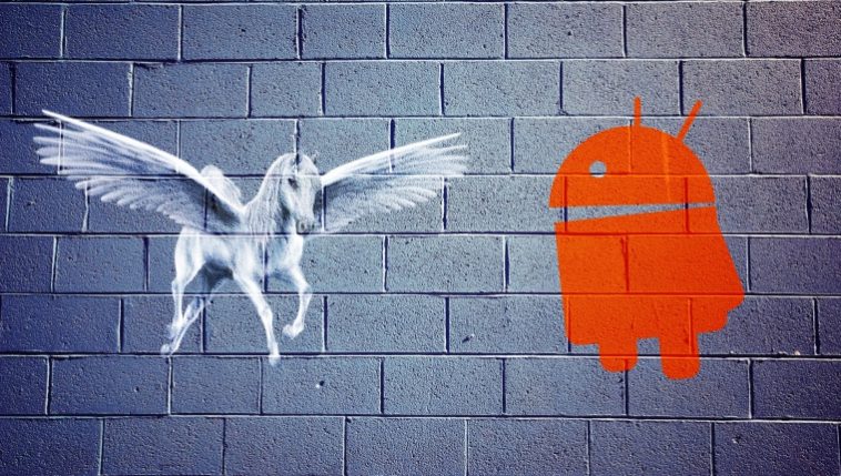 Pegasus android как проверить