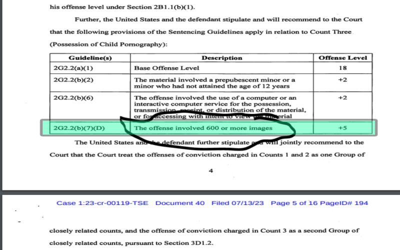 BreachForums’ Pompompurin Pleads Guilty to Holding Child Abuse Content