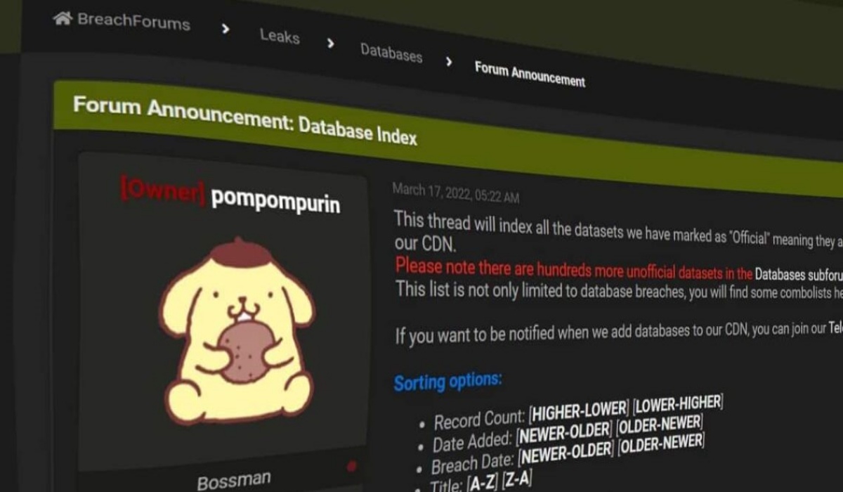 Owner of Breach Forums Pompompurin Arrested in New York