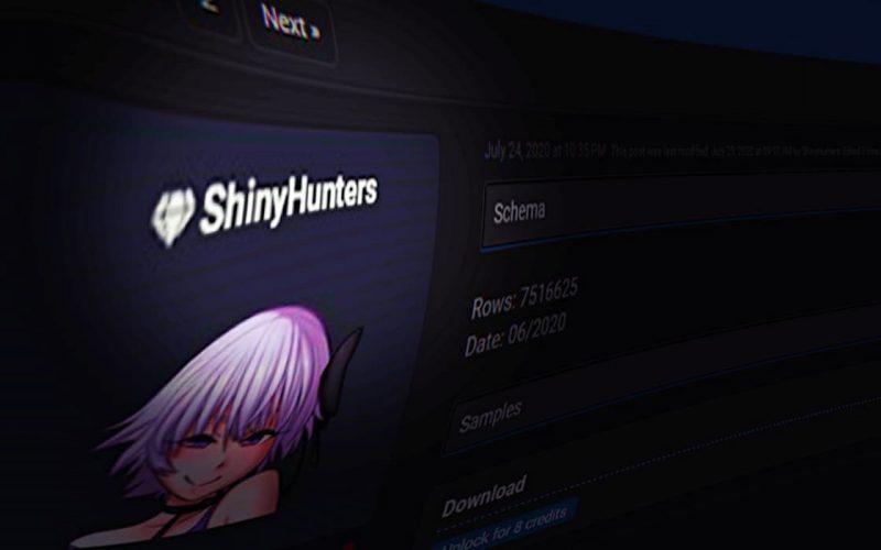 Alleged ShinyHunters Hacker Group Member Arrested