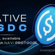 Sui to Make Native USDC Available Through NAVI Protocol