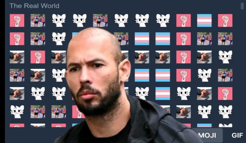 Andrew Tate’s University Breach: 1 Million User Records and Chats Leaked – Hackread