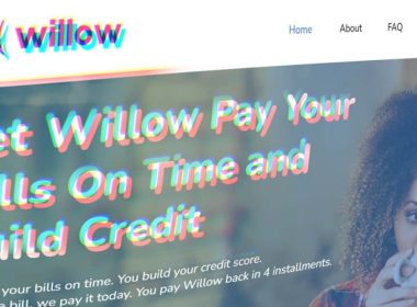 FinTech Bill Pay Platform "Willow Pays" Exposes Over 240,000 Records