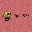 Critical OpenSSH Vulnerabilities Expose Users to MITM and DoS Attacks