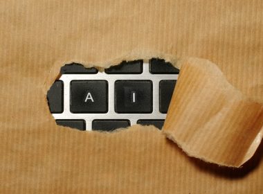 AI and Regulation: How to Explain the ‘Black Box’ to Tax Authorities