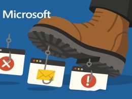 Microsoft Shuts Down RaccoonO365 Phishing Ring, Seizes 338 Websites