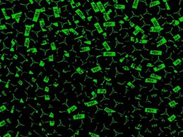 What Happens Inside PDFAid in Seconds: From Upload to Download