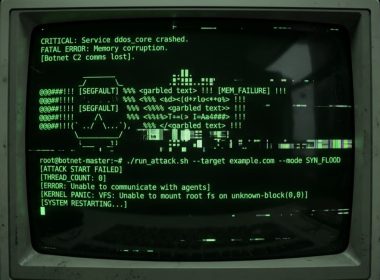 Global Police Strike Dismantles Aisuru, KimWolf, JackSkid, and Mossad Botnet Networks