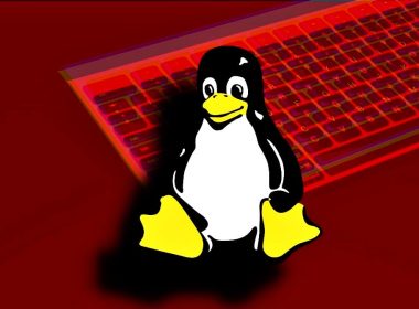 Harvester APT Expands Spying Operations with New GoGra Linux Malware