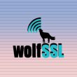 wolfSSL Vulnerability Hits IoT, Routers and Military Systems, Update to 5.9.1 Now