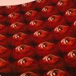 Five Eyes Warns Chinese Spies Are Using Fake Job Ads to Target Military Staff