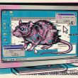 Hackers Use Fake Claude Code Guide and AI PDFs to Spread AsyncRAT Malware