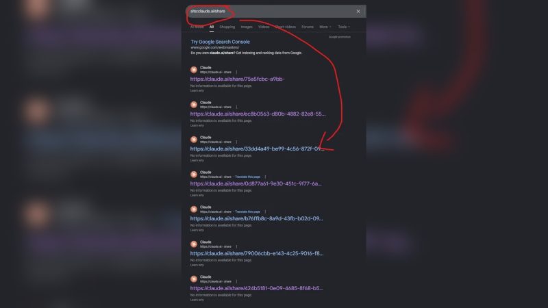 Google Indexed Claude AI Shared Chats Before Results Were Removed