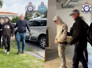 Police Arrest Two Alleged TeamPCP Members Linked to Shai-Hulud Attacks