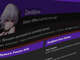 French Police Arrest Suspected ZeroBytes Hacker Over Tax Data Theft