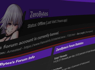 French Police Arrest Suspected ZeroBytes Hacker Over Tax Data Theft