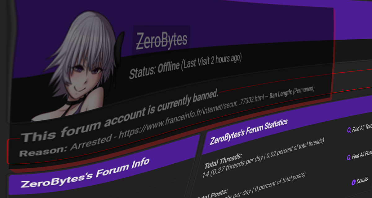 French Police Arrest Suspected ZeroBytes Hacker Over Tax Data Theft